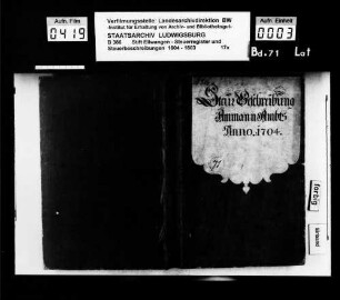 Steuerbeschreibungen und Steuerregister im Ammanamt