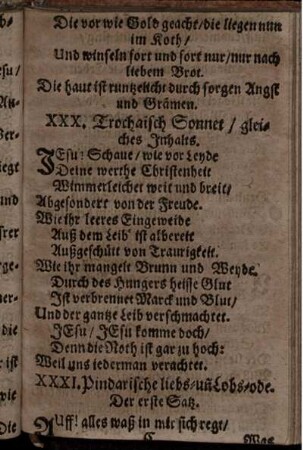 XXXI. Pindarische liebs- und Lobs-ode