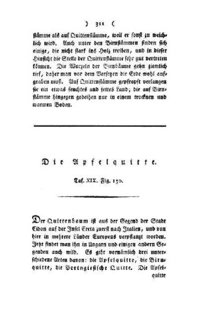¬Die¬ Apfelquitte : Taf. XIX, Fig. 130