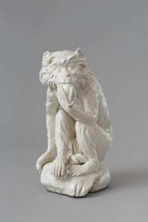 Affe mit Halskrause