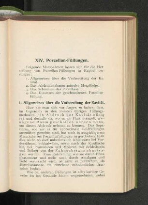 XIV. Porzellan-Füllungen.