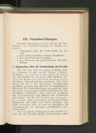 XIV. Porzellan-Füllungen.