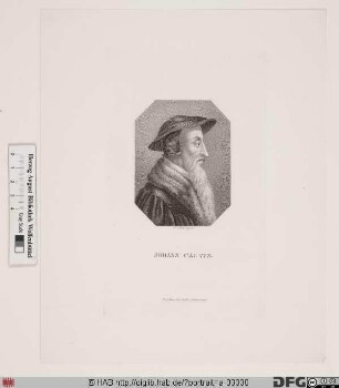 Bildnis Johannes Calvin (eig. Jean Cauvin)