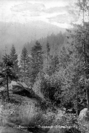 Felsen im Preßnitztal : Felsen - vermutlich am Sommerstein