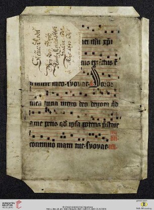 Einzelblatt II
