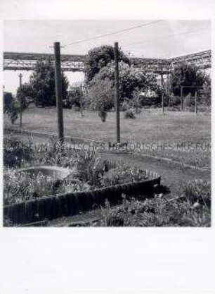 Serie "Kolleginnen und Kollegen - Bürger der DDR" Blühender Garten (von Andreas Hardt)
