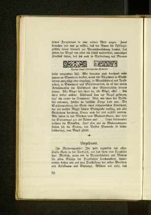 Ungeheuer.