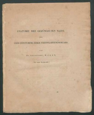 Anatomie der gezüngelten Naide und über Entstehung ihrer Fortpflanzungsorgane / von Gruithuisen.