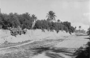 Straße in Leptis Magna : Blick auf eine Straße in Leptis Magna