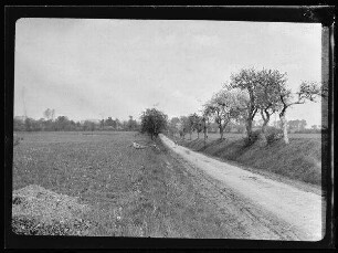 Straße bei Guillemont (Dep. Somme, Frankreich)