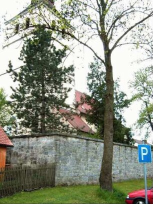 Ansicht von Nordosten mit Kirche (im Kern 14 Jh) über Kirchhofmauer (Wehrgang mit Steinbrüstung im 18 Jh abgetragen)
