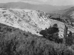 Mammoth Hot Springs : Sinterterrassen von Mammoth Hot Springs im Yellowstone-Nationalpark