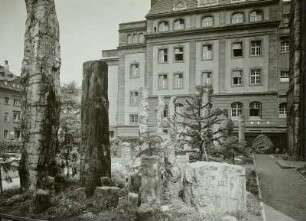 Steinerner Wald