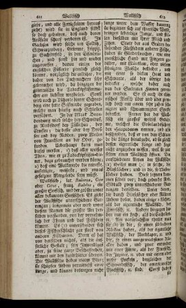 Wallfisch - Wechselbriefs Copirbuch
