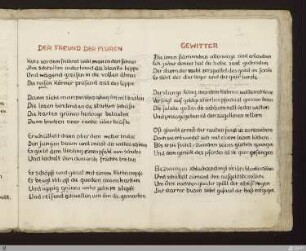 Der Freund der Fluren : [SW V: H17]; [SW V, S. 38/111]