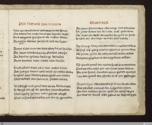 Der Freund der Fluren : [SW V: H17]; [SW V, S. 38/111]