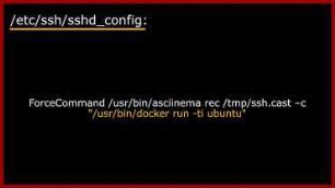 Watch the Asciinema Replay of Your Home-Made Honeypot