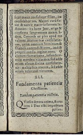 XLI. Fundamenta patientiae Christianae