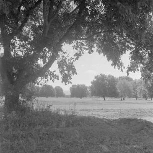 Weideland im Rosental in Zentral-Bulgarien