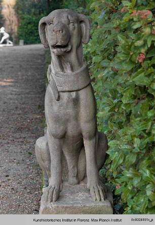 Zwei sitzende Hunde