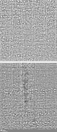Löwe (steigend) mit Schwert / ES = Bd.1 S.207/208+221/222