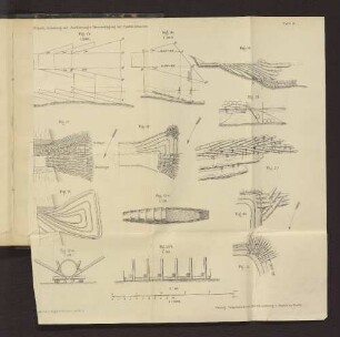 Tafel II. Fig. 13. bis Fig. 23.
