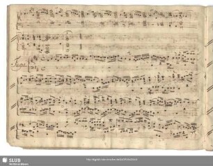 Kellner, J.C.: Fugues D