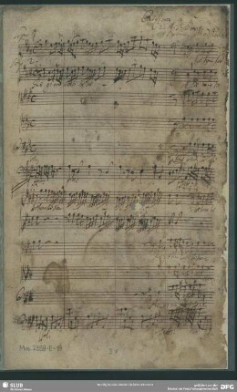 Regina caeli laetare alleluia