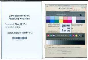 Entnazifizierung Maximilian Franz Ibach , geb. 24.02.1904 (Betriebsfuehrer)