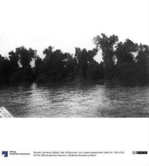 Rufidji- Ufer mit Bäumen, von Lianen überwuchert