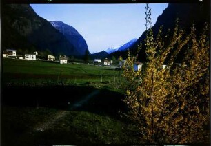 Oetz: Ötztal, Vordergrund blühende Forsythien