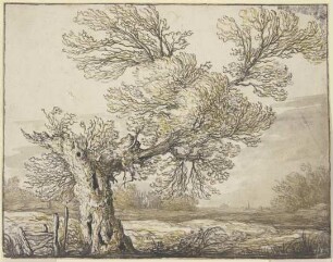 Landschaft bei Dordrecht