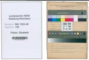 Entnazifizierung Elisabeth Pelzer , geb. 11.01.1907 (Studienassessorin)