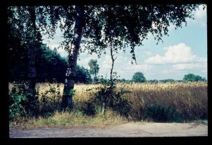 Gatower Felder 27.7.68.