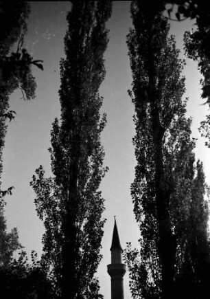 Bukarest: Minarett zwischen Pappeln