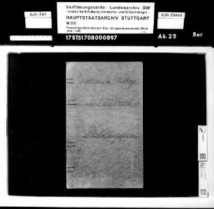 Meldungen der Detachements Haas und Gräter