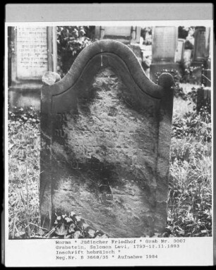 Grabstein des Salomon Levi (+ 1893.11.12)