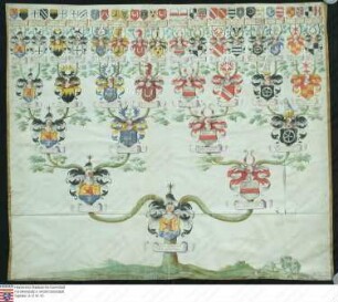 Ahnenprobe des Johann Burkhardt v. Carben zu Burggref[en]roth. - ausgefertigt 1668 März 3 / 13 Burgmann, Pergament