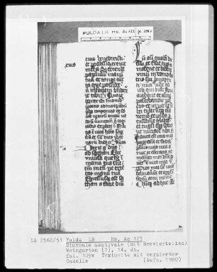 Diurnale aestivale mit Brevierteilen — Initiale C?, Folio 109verso