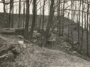 Göda-Dahren, Burgwall : Wallkessel (Westende) des Burgwalles von der Spitze des Talspornes
