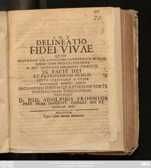 Delineatio Fidei Vivae