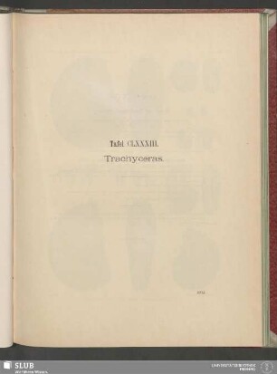 Tafel CLXXXIII. Trachyceras