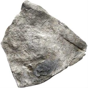 Umayyaden