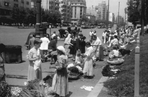 Bukarest: Blumenzigeunerin am Boulevard Bratianu