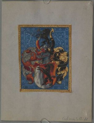 Ganzseitige Wappenminiatur aus einem Stammbuch - BSB Cod.icon. 518(11