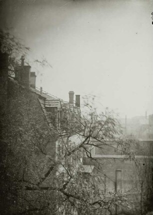 Ammonstraße : Hinterhöfe der Ammonstraße