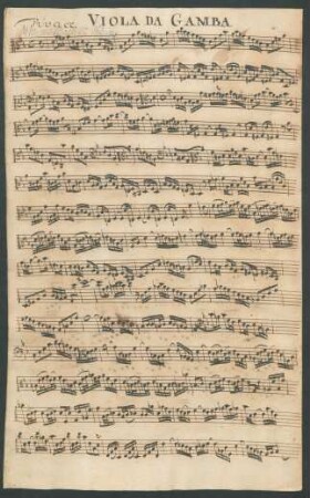 Viola da gamba
