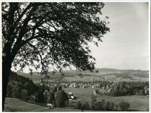 Hinterzarten und Umgebung