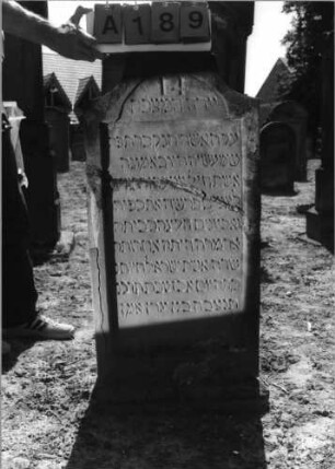 Grabstein 189 (Index: 99797626) Material: Sandstein, rot Zustand: stark verwittert Maße HxBxT: 104x51x8 cm Beschreibung: Stele, geschweifter Abschluß, Sockel: Grabstein 189A