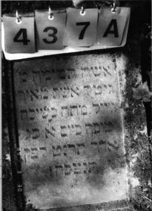 Grabstein 437 (Index: 99792001) Material: Sandstein Zustand: gut, Stele liegend Maße HxBxT: 90x54x17 cm Beschreibung: Stele, eingezogener giebelartiger Abschluß, Schriftfeld eingetieft mit eingezogenem Rundbogenabschluß Symbolik: Rundbogenfries: Grabstein 437A